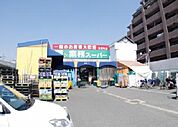 業務スーパー 池田店（357m）