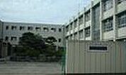 寝屋川市立明和小学校（524m）