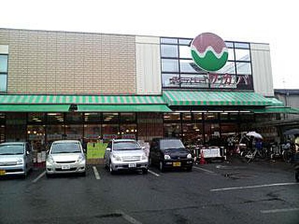画像16:スーパーワカバ 寝屋川店（631m）
