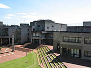 大学