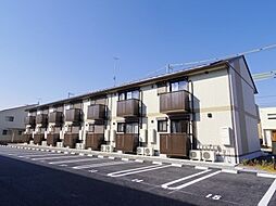 プエラリア　サクラI 105