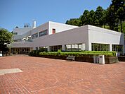 大学