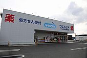 ドラッグストア