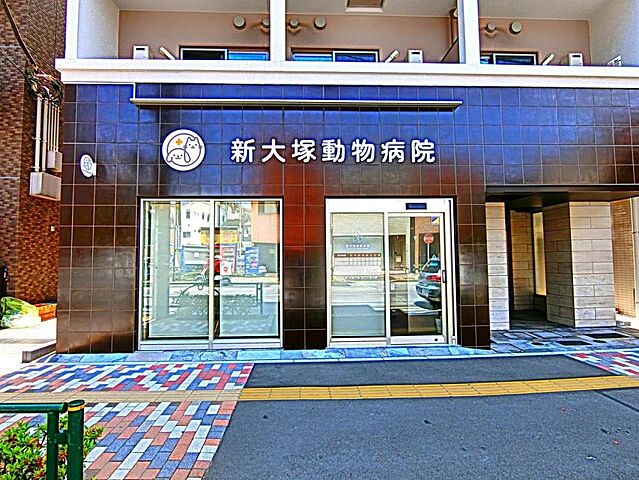 周辺 文京区大塚4丁目