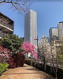 物件画像 ザ・パークハウス西新宿60