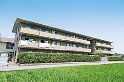 アメージングビュー