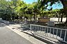 周辺：長洲公園の外観
