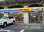 ミニストップ 南荻窪3丁目店（596m）