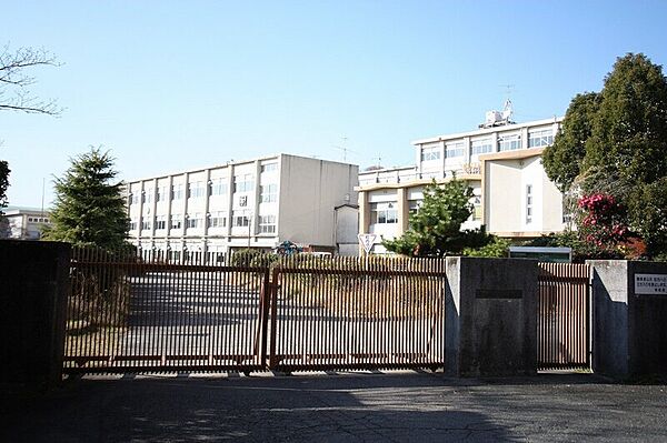 画像28:名古屋市立東星中学校 406m