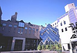 私立名古屋文化短期大学 177m