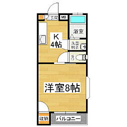 フローレンス県 1Kの間取図画像