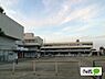 周辺：小学校「瑞穂市立穂積小学校まで1246m」