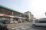 Sun Live（サンリブ） 朝日ヶ丘店（515m）