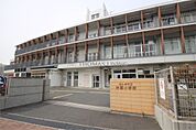 北九州市立井堀小学校（482m）