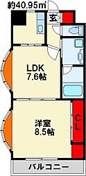 アサノベイタワー 1LDKの間取図画像