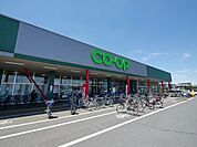 コープ武蔵藤沢店 816m