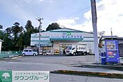 ドラッグセイムス仏子店 1107m