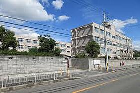 クレリア高槻南松原 302 ｜ 大阪府高槻市南松原町（賃貸アパート1LDK・3階・32.80㎡） その21