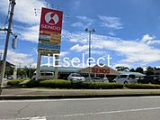 せんどう 美しが丘店 徒歩7分。 530m