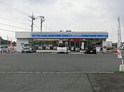 ローソン 480m