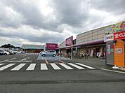 イオン 1772m