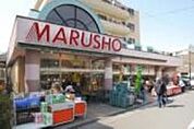 MARUSHO 451m