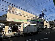 スーパーバリュー等々力店 徒歩11分。スーパー 850m
