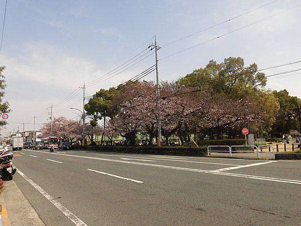 公園「大枝公園まで1135m」