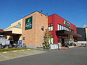 スーパー「食品館アプロ守口八雲店まで736m」