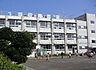 周辺：葛飾区立柴原小学校 701m