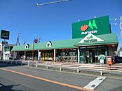 マルエツ 1300m