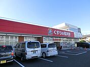 くすりの福太郎 810m