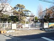 柏第一小学校 1000m