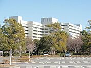 国立がんセンター 1500m