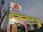 ヤマダ電機 1003m