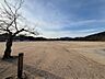 周辺：あさひが丘公園（515m）
