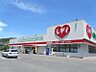 周辺：くすりのレデイ 上安店（860m）
