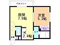STELLASOPHIA4階5.9万円