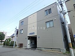 19 / 39