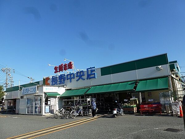 画像18:生鮮市場JC長野中央店（507m）