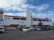 MEGAドン・キホーテ 長野店（2232m）