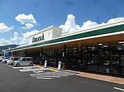 デリシア七瀬店（258m）