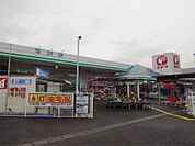 コメリハード＆グリーン戸倉店（555m）
