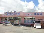アメリカンドラッグ 千曲粟佐店（1184m）