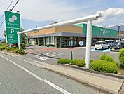 ツルヤ 小諸東店（923m）