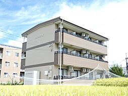 パステルローズ