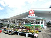 コメリ諏訪湖南店（643m）