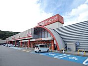 イオンタウン茅野（234m）