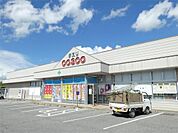 ドラッグコスコ富士見店（1000m）