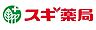 周辺：【ドラッグストア】スギ薬局 市場店まで918ｍ